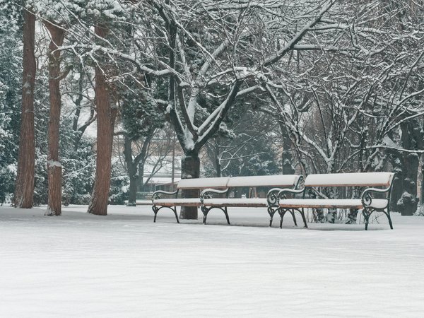 Les habitudes alimentaires pour une santé optimale