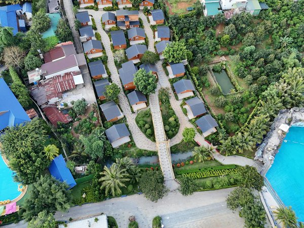 Comprendre et gérer la douleur liée au cancer