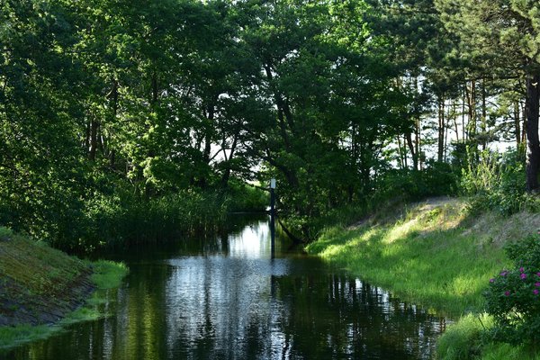 Comment la diététique peut améliorer votre santé quotidienne